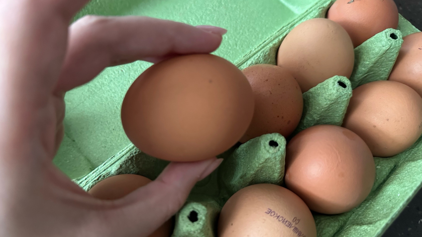 Чем белые яйца отличаются от коричневых: жарил, варил, взбивал и вот честный ответ - вся разница в деталях