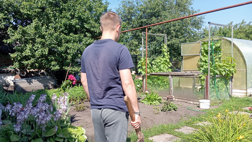 Луковая муха будет облетать вашу дачу за километр: беру 3 кухонных средства за 50 рублей - защищаю все грядки уже с весны