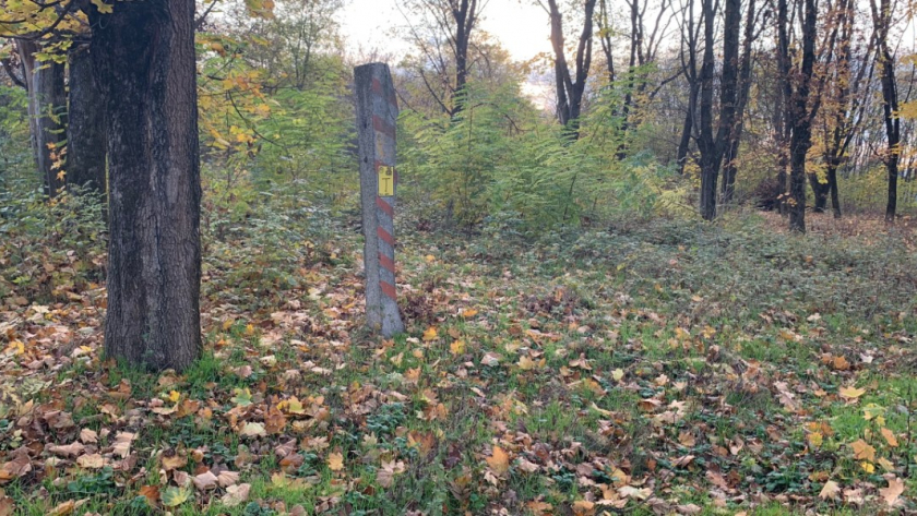 В Пензенской области в ходе проверок выявили шесть нарушений охотничьего законодательства