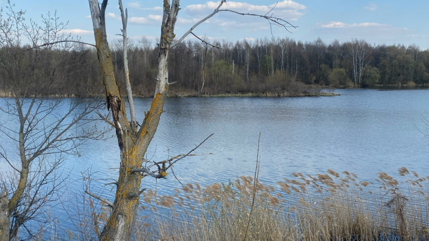 На днях в Пензе потеплеет до 19 градусов