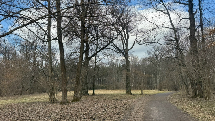 В лесах Пензенской области начался пожароопасный сезон