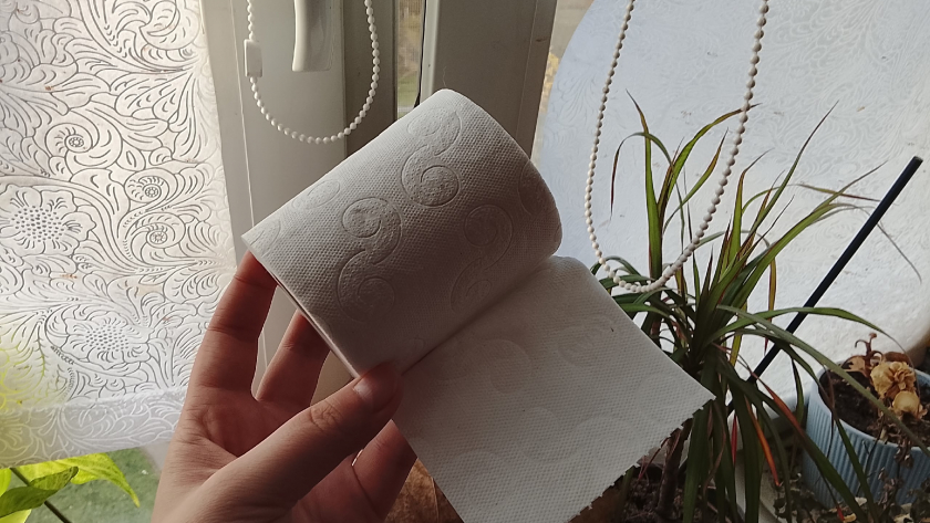 Туалетная бумага оказалась рабочим средством от тараканов: сначала не верили, потом повторили - стасики исчезли за одну ночь