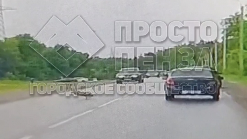 На дублере улицы Окружной сбили косулю