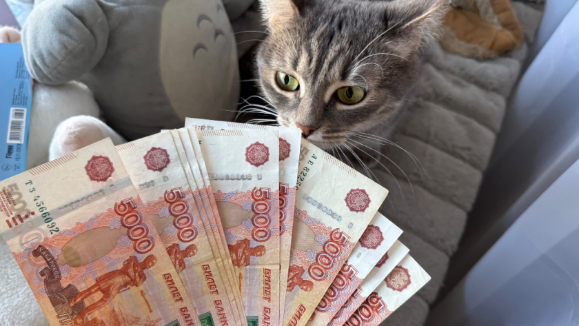 В 2026 году свыше 400 пензенских многодетных семей оформили выплату для погашения ипотеки через Госуслуги