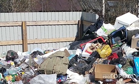 Бесснежная зима открыла в Пензе скопления мусора