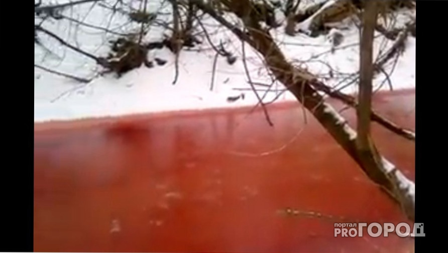 Проблемой кровавой реки в Ухтинке занялись несколько ведомств