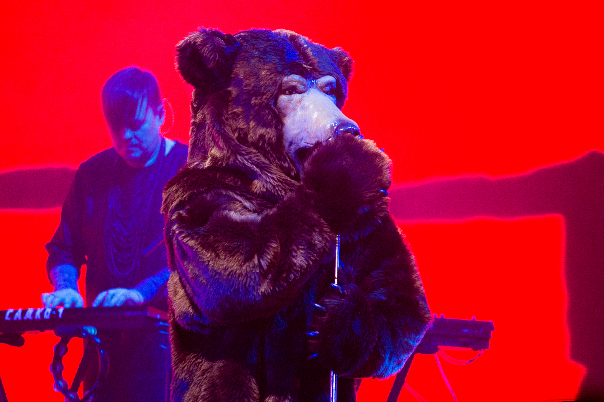 На концерте "БИ-2" в Пензе со сцены пел медведь
