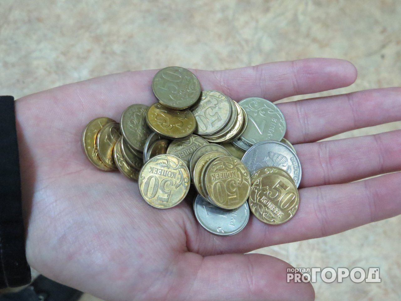 Как падение рубля отразится на кошельке пензенцев?
