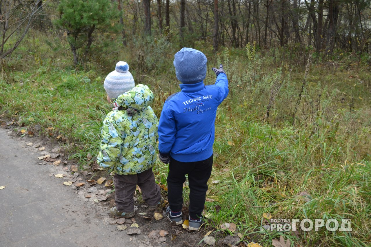 В Пензе нетрезвый мужчина увез у матери шестилетнего  ребенка