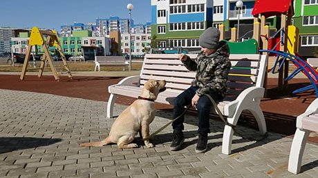 В Спутнике акция «Платим ипотеку за вас» стала популярной