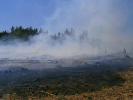 В Пензенской области начались первые природные пожары