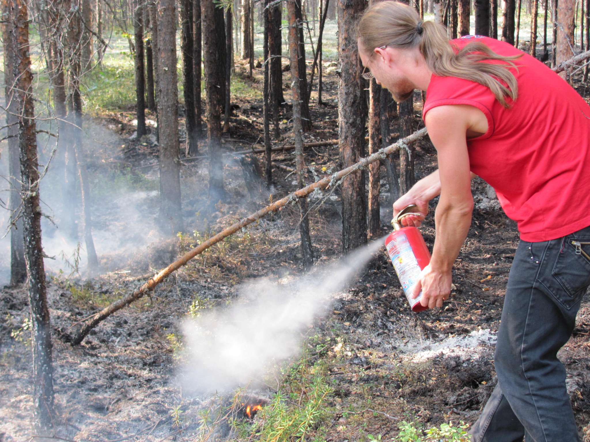 В нескольких лесах Пензенской области произошли возгорания - фото и видео