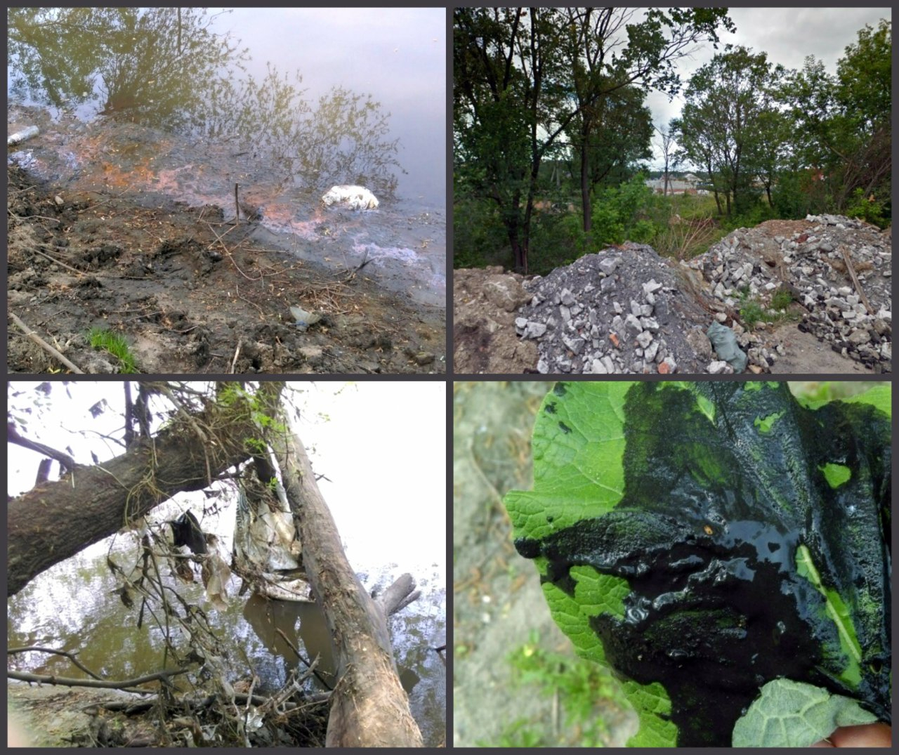 Плотина и лес на Шуисте стали резервуаром для строительного мусора