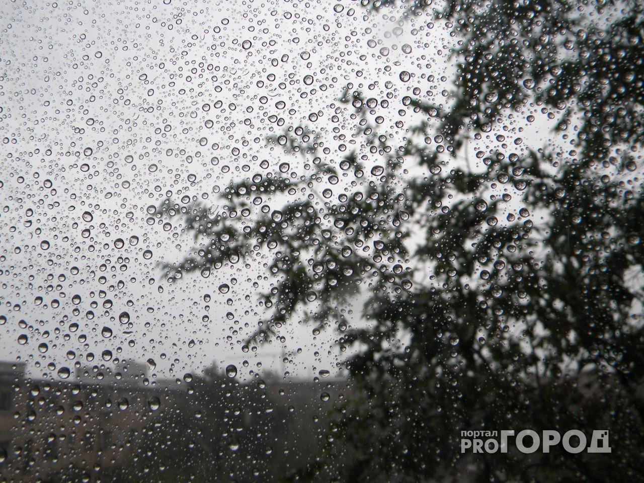 В Пензенской области МЧС предупреждает о дожде и порывистом ветре