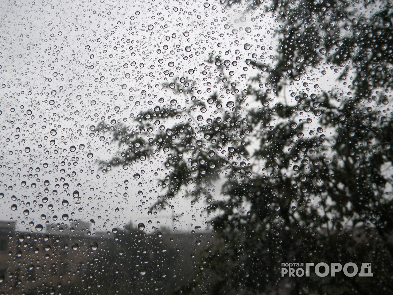 4 июня в Пензенской области ожидаются дожди и грозы