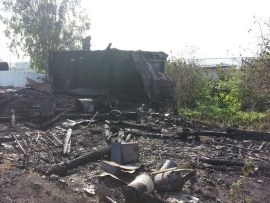 Из горевшего  дома в Пензенской области спасли только семь поросят