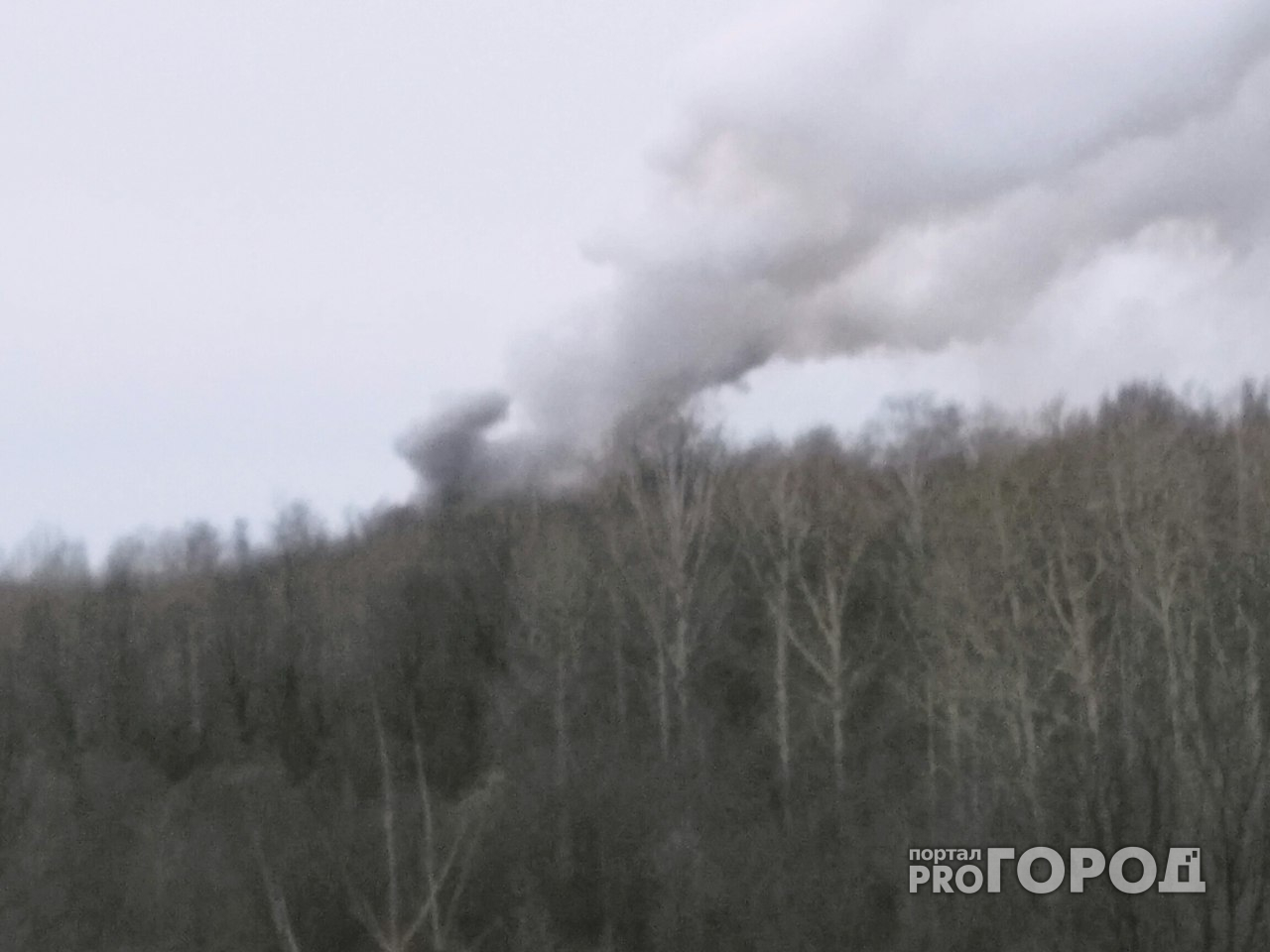 В Земетчинском районе более семи часов тушили горящий лес