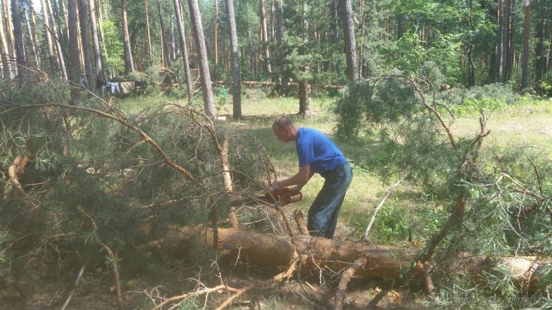 В "Белке" убрали все 32 дерева, упавших во время урагана