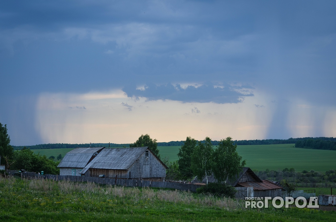 8 июля в большинстве районов Пензенской области пройдет дождь