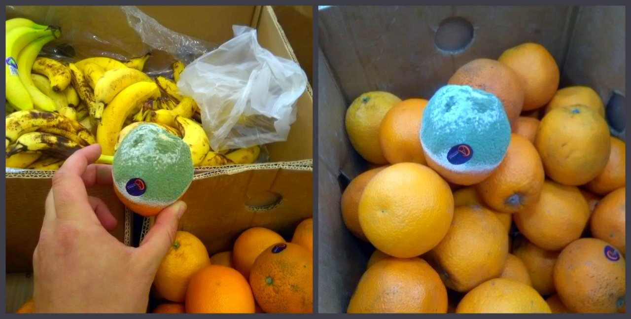 Пензенцам предлагают купить "живые" апельсины
