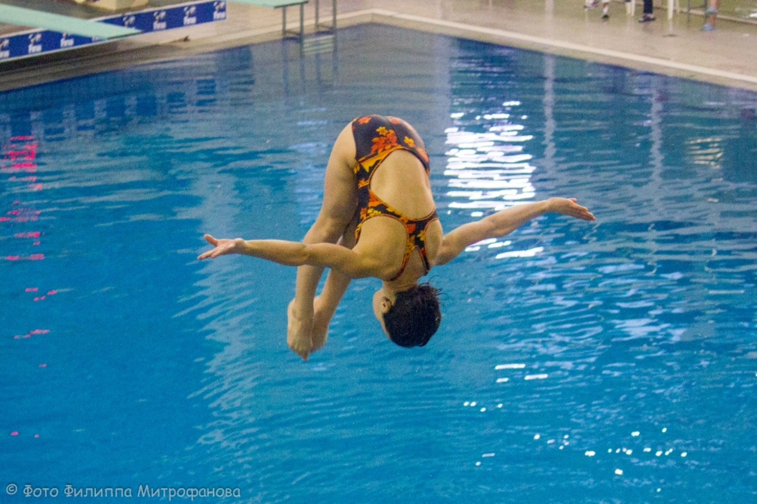 В Пензе стартовали соревнования по прыжкам в воду