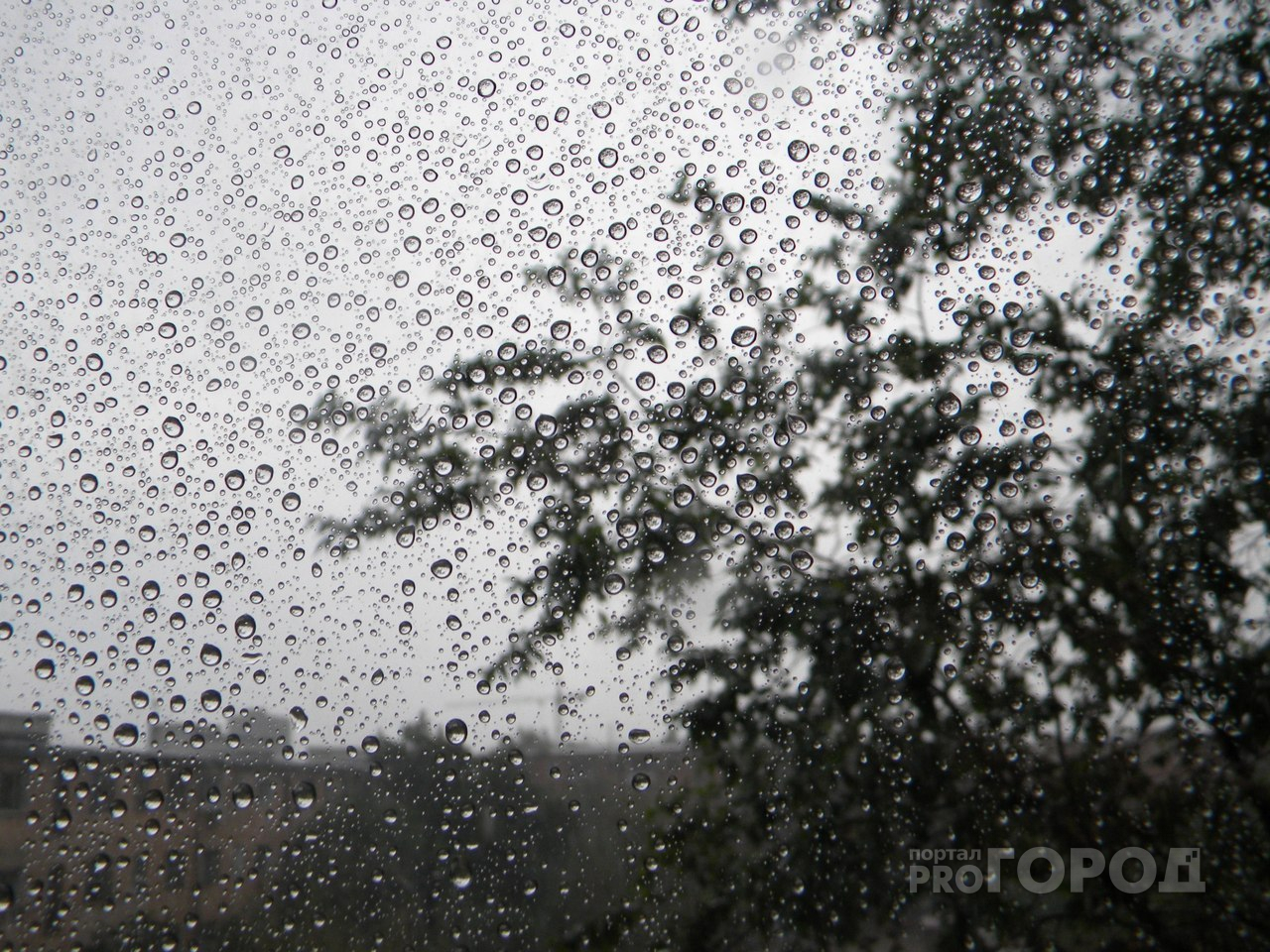 6 августа в Пензенской области ожидается дождь и гроза