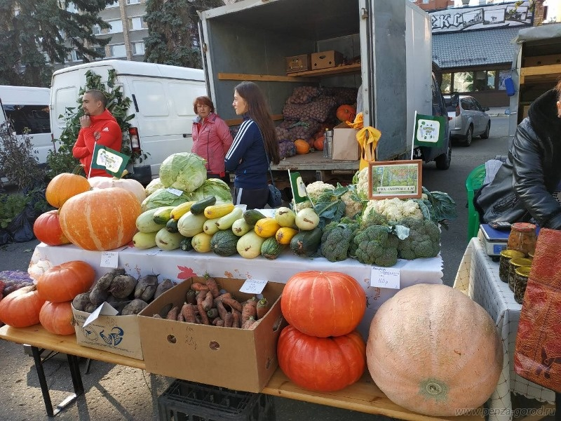 Пензенцы купили дешевые овощи и фрукты на фестивале "Садовод"