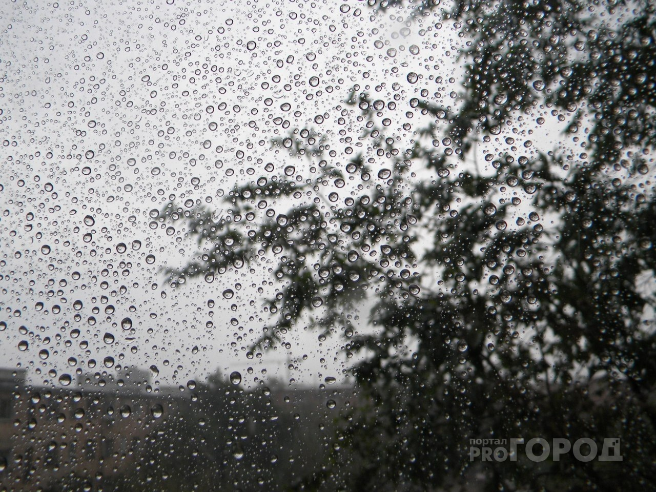 В Пензенской области 5 октября пройдут дожди