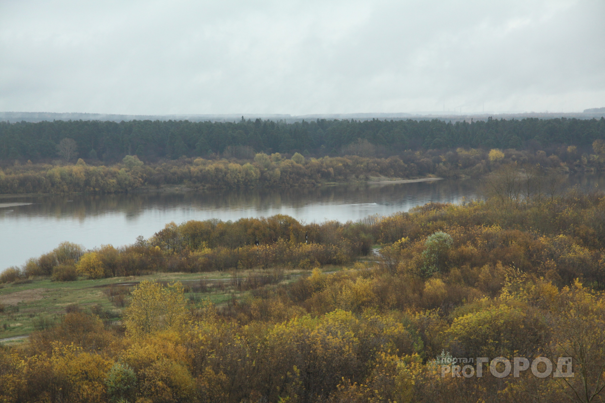 Какой будет погода в Пензенской области 25 октября?