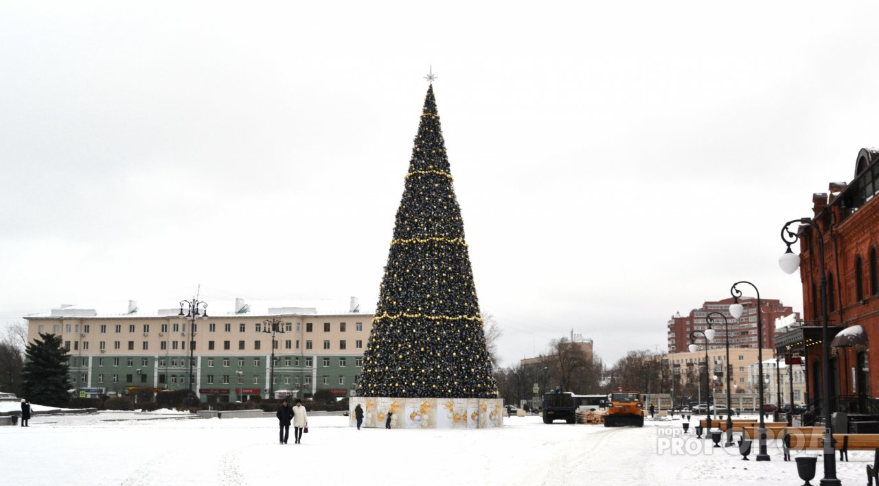 Главная елка на площади Ленина готова к празднику