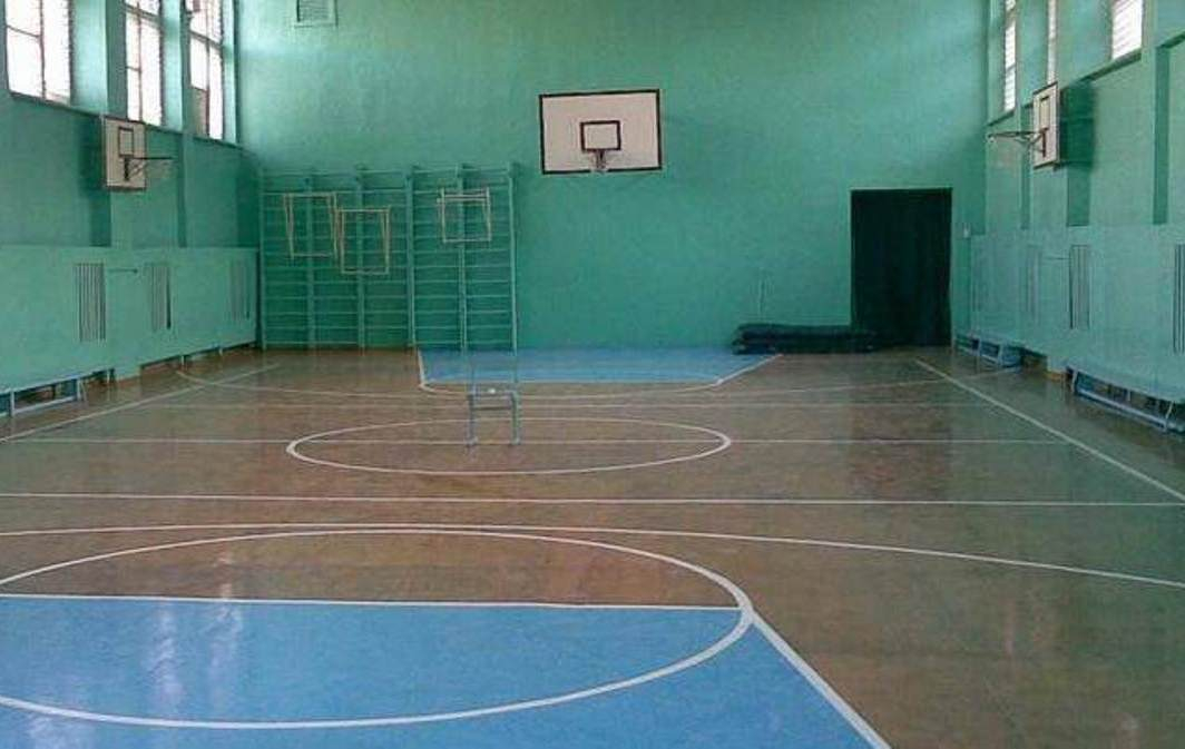 В 2019 году в Пензенском регионе откроют в школах новые спортивные залы