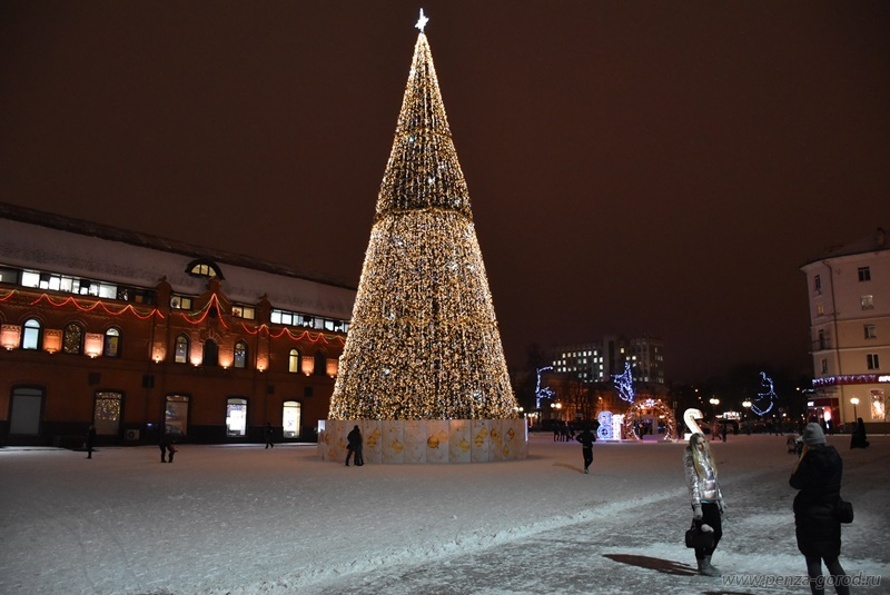 Пензенская елка на площади Ленина вошла в десятку самых высоких в России