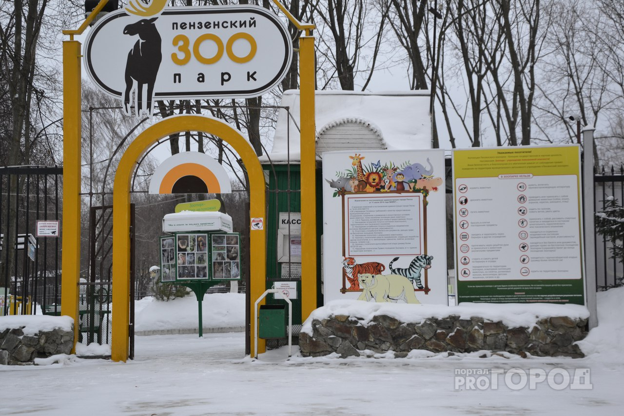 В Пензенском зоопарке со 2 января подорожают билеты