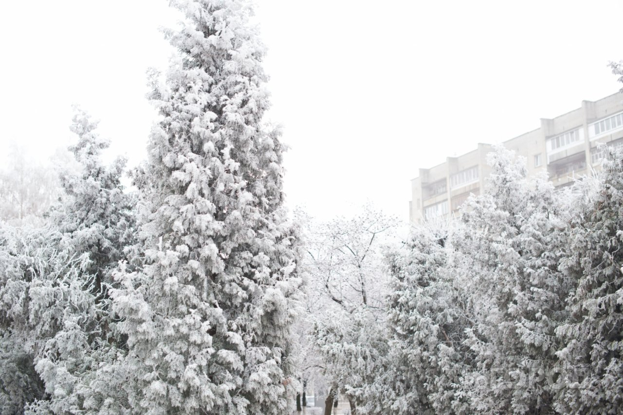 В Пензенской области 12 января ожидается метель и мороз