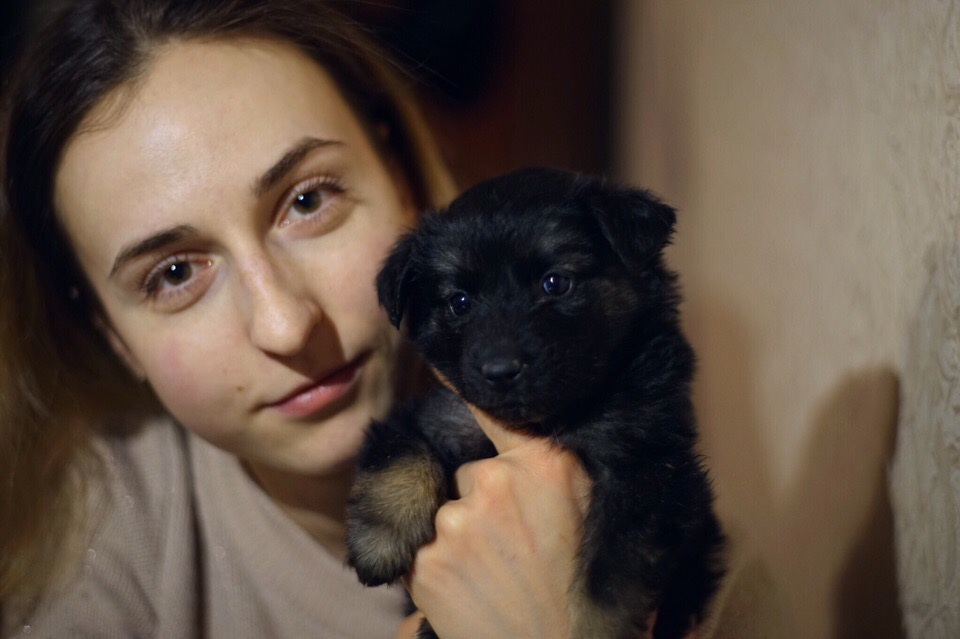 "Ледышке" негде жить: облитый водой и выброшенный на мороз щенок в Пензе ищет дом