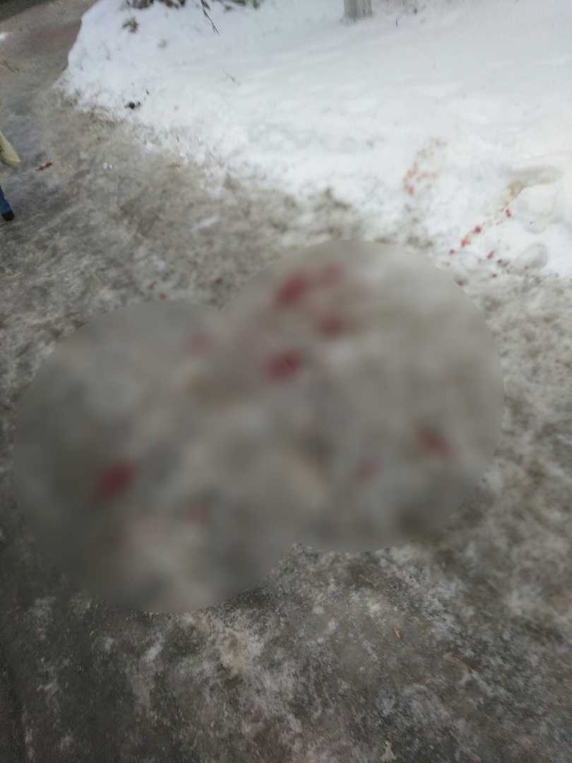 «Кровь на льду» Что произошло ночью у Рембыттехники?