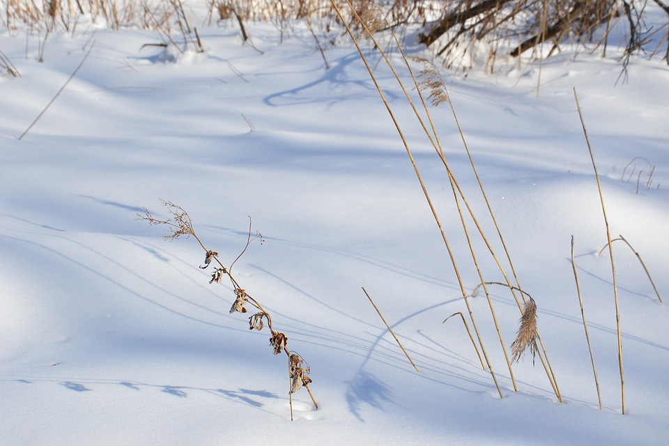26 февраля в Пензенской области ожидается потепление и гололед
