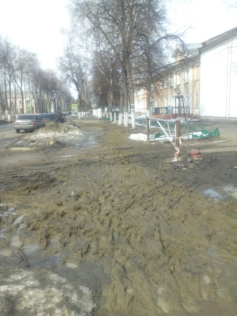 "Хуже, чем в свинарнике": райцентр Пензенской области утопает в грязи