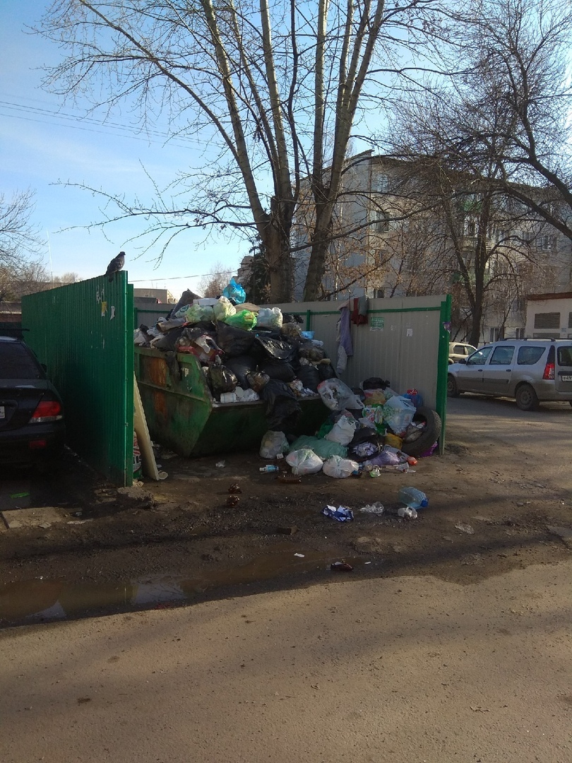 "Зарастаем мусором": жители Пензенской области жалуются на свалки во дворах