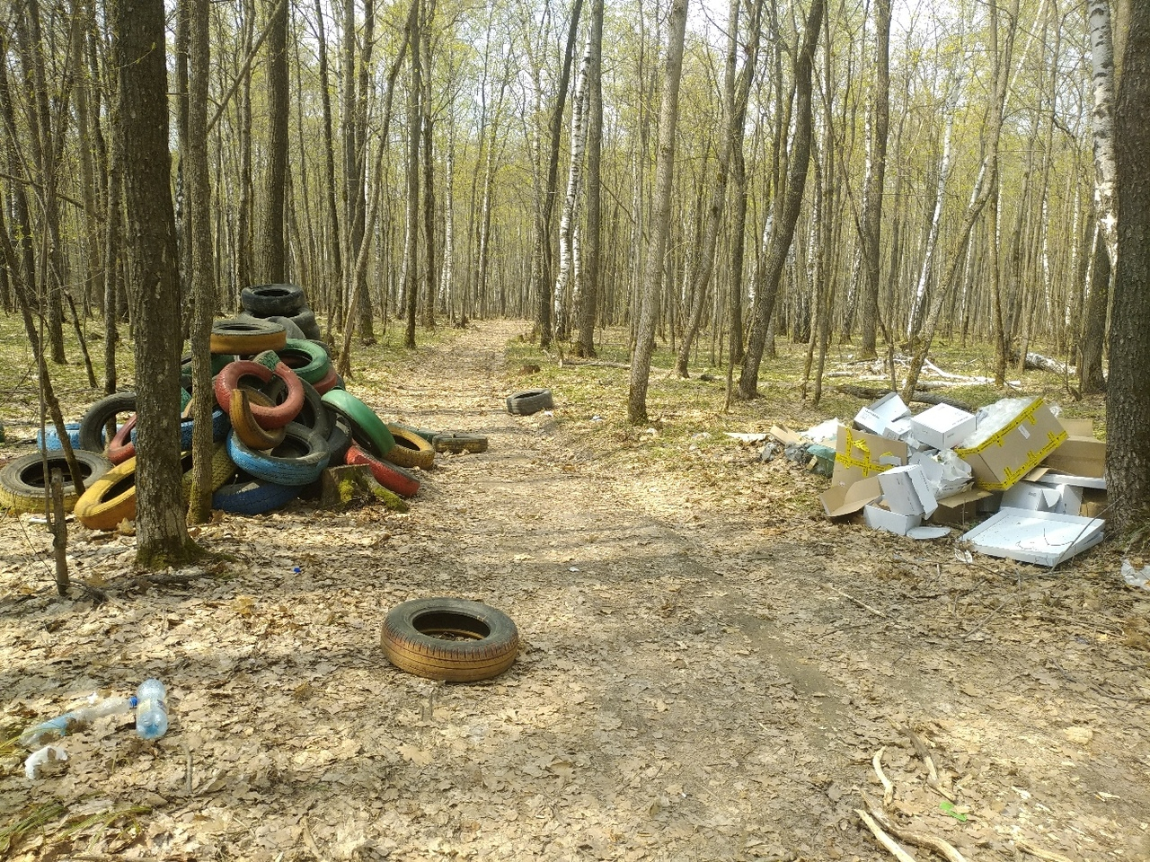 "До леса ближе, чем до контейнера": пензенцев шокировала свалка в Арбековском лесу