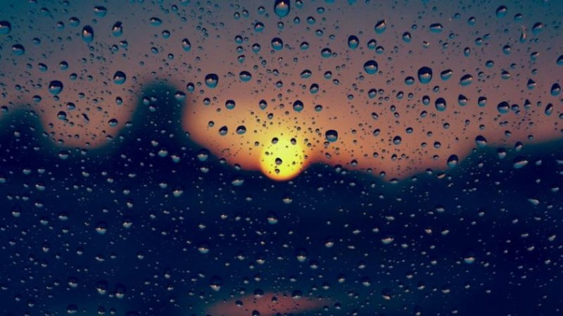 «Солнечно и дождливо». Погода в Пензе 14 мая