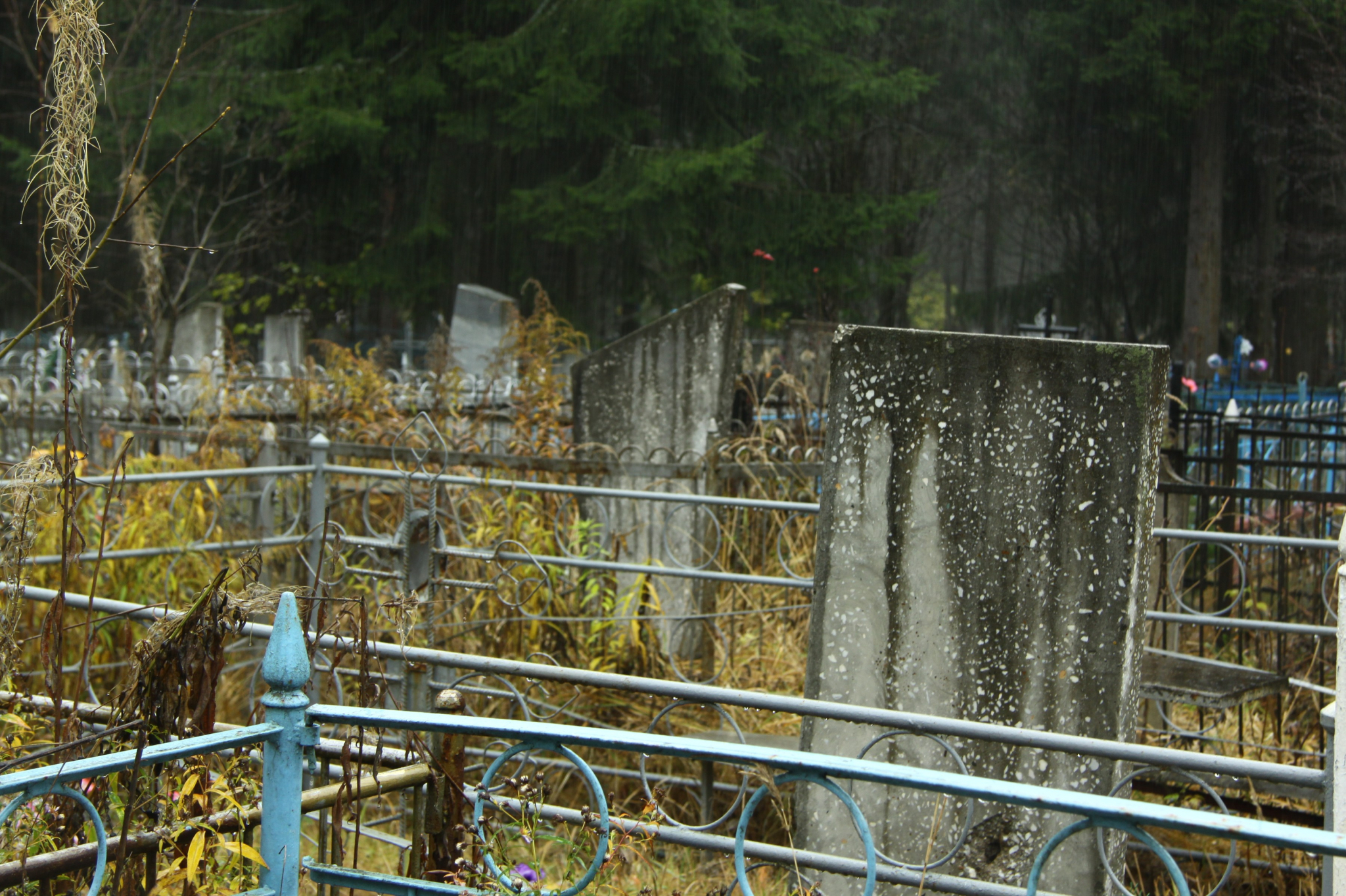 В Пензенской области малолетний вандал "разукрасил" памятники на могилах