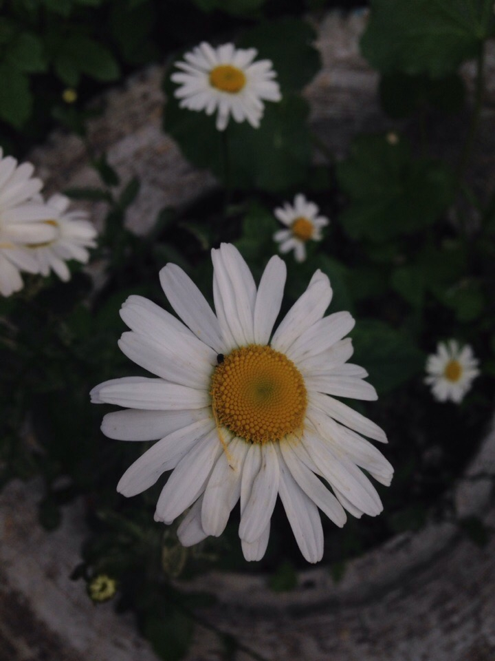В Пензенской области наконец-то спадет жара