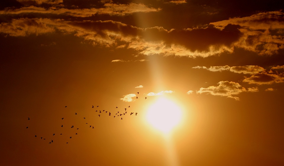 Солнце выходит на охоту в Пензе: берегитесь жары