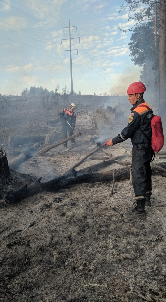 В Пензенской области пожарные два дня борются с огнем в лесу