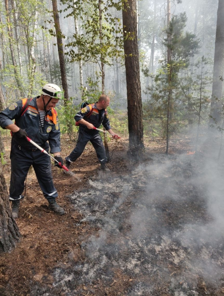 В лесах Пензенской области пожарные 12 часов боролись с огнем