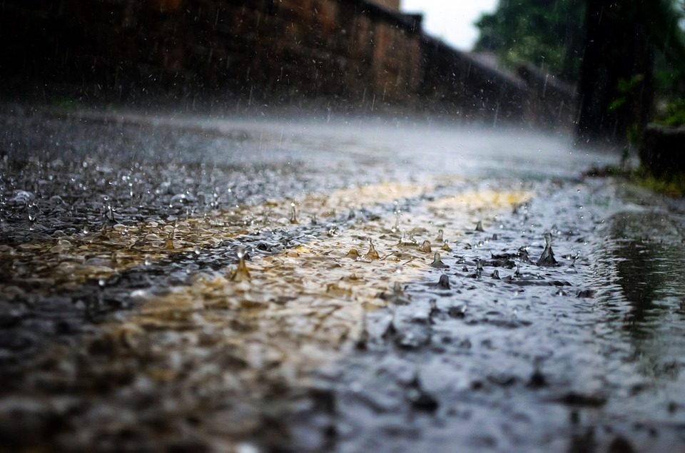 Прогноз погоды на 8 июля: в Пензе ожидаются кратковременные дожди и гроза