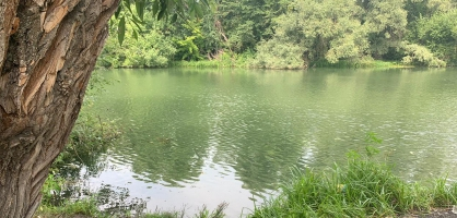 "А на берегу пакет с рыбой и снасти" : В Пензе прохожий увидел плавающий в реке труп