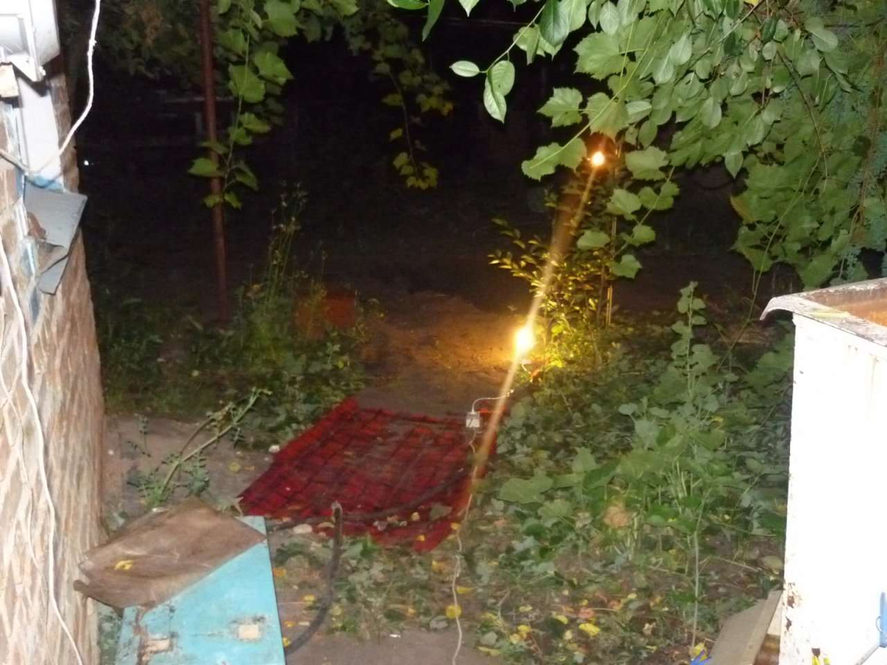 Ярославец жестоко расправился с пенсионеркой из Пензы