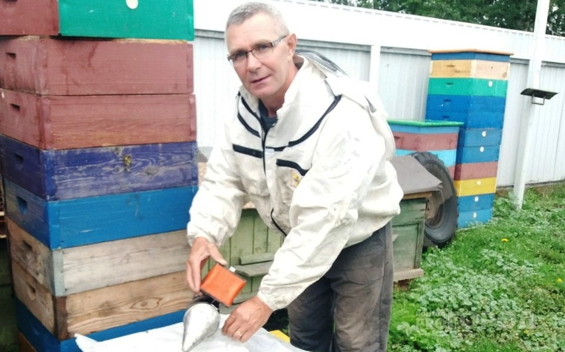 «К страху надо привыкнуть»: пчеловод из Пензы Сергей Шендяпин о тонкостях семейного ремесла
